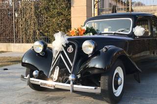 Briantea Wedding Cars Collection