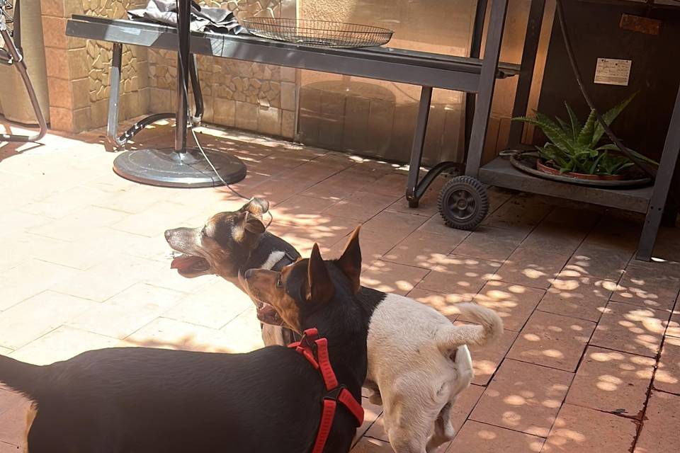 Due amichetti inseparabili!