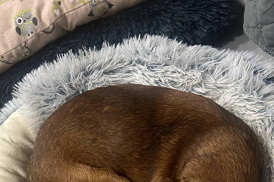 Leo