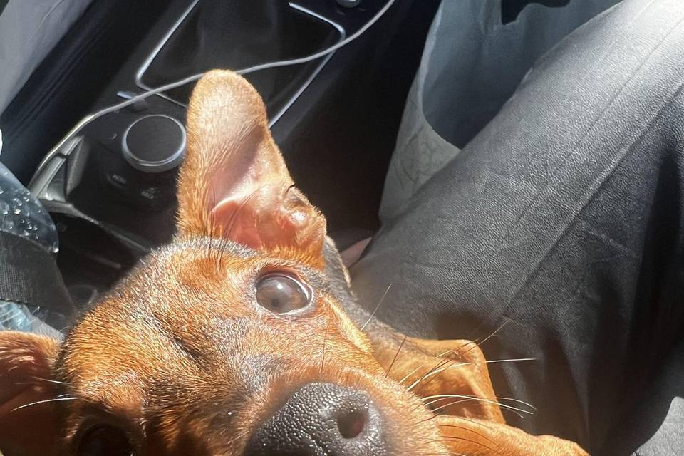 Mia