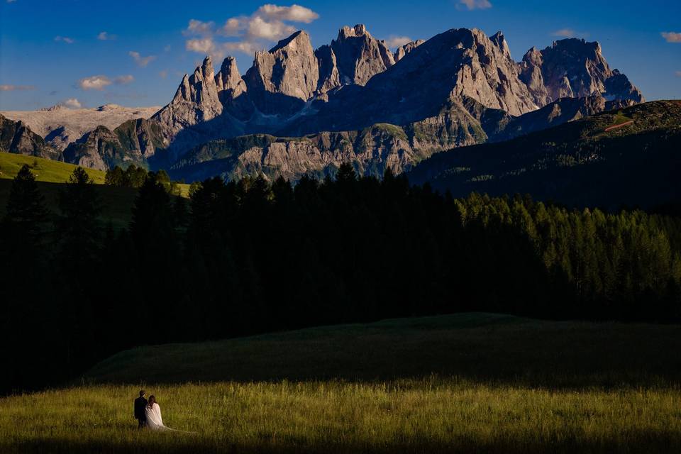 Pale di san martino