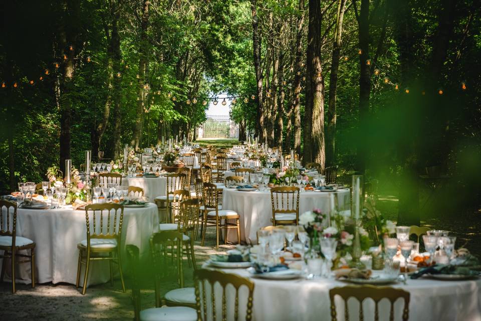 Cena boho-chic nel bosco