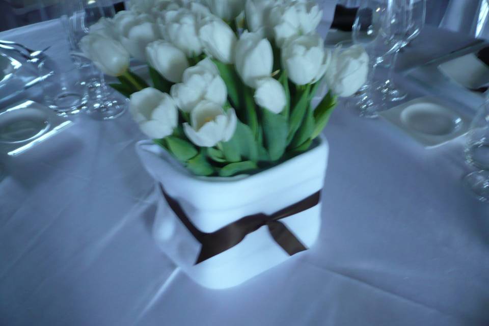 Cubo tulipani bianchi