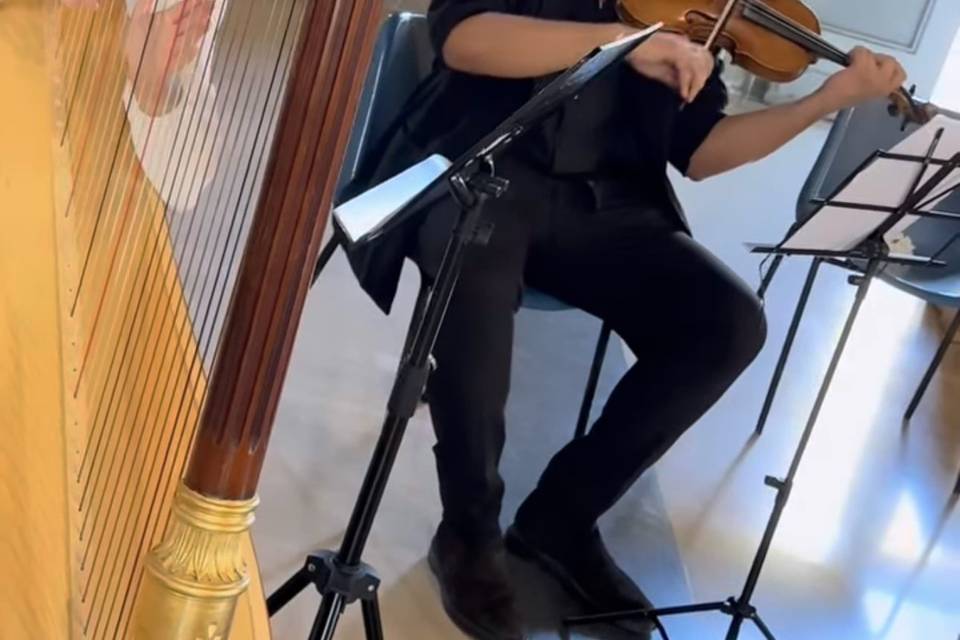 Il nostro violinista: Luis