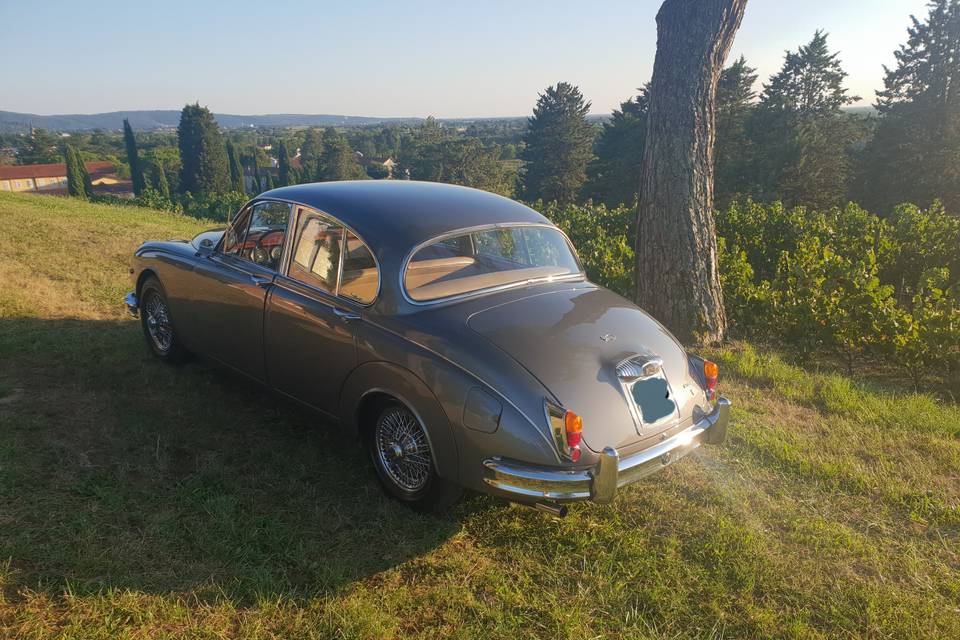 Bellezza senza tempo