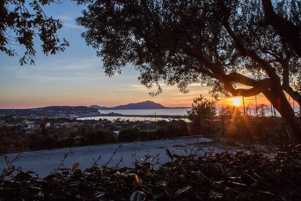 Ischia e Procida dalla villa