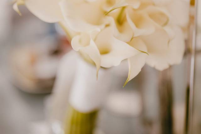 White Romantic 1