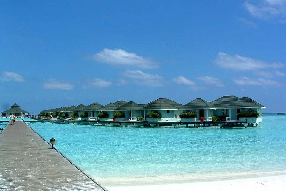 Maldive