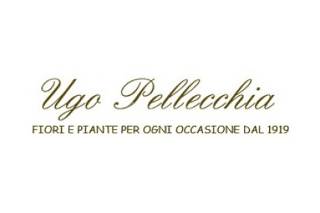 Ugo Pellecchia