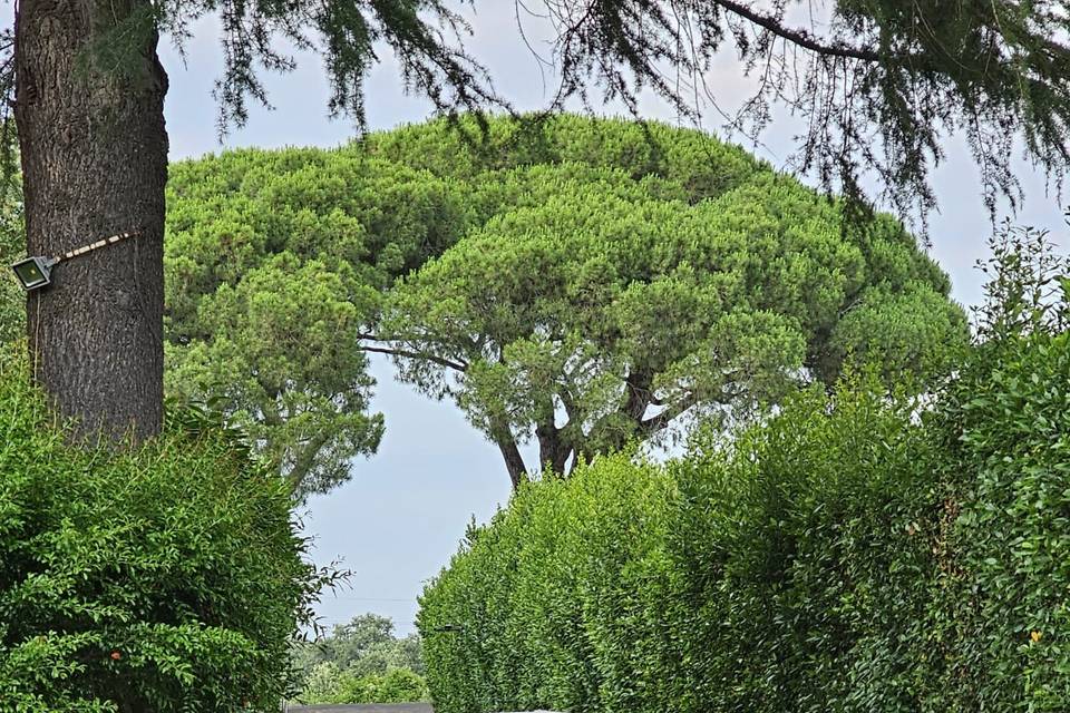 Antico Borgo di Sutri