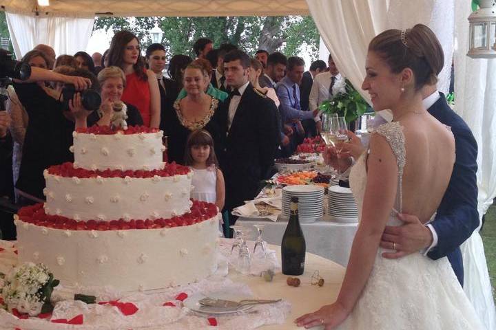 Wedding cake mare
