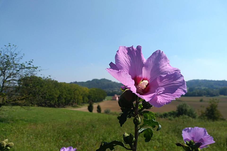 La campagna antistante