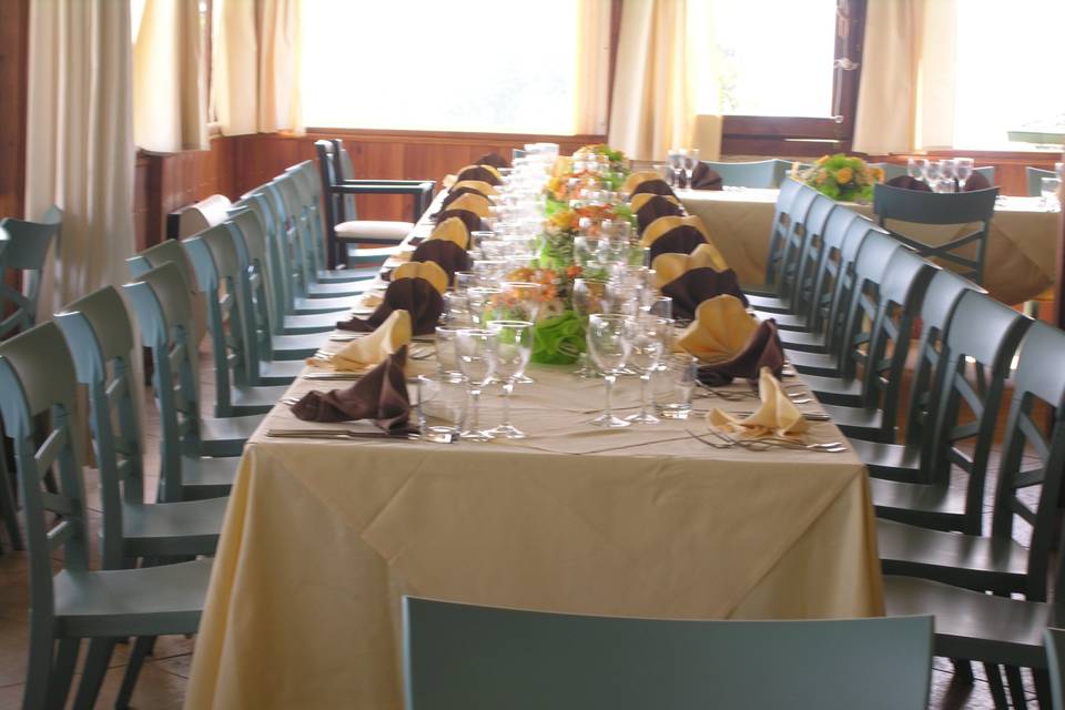 Volo dei gabbiani