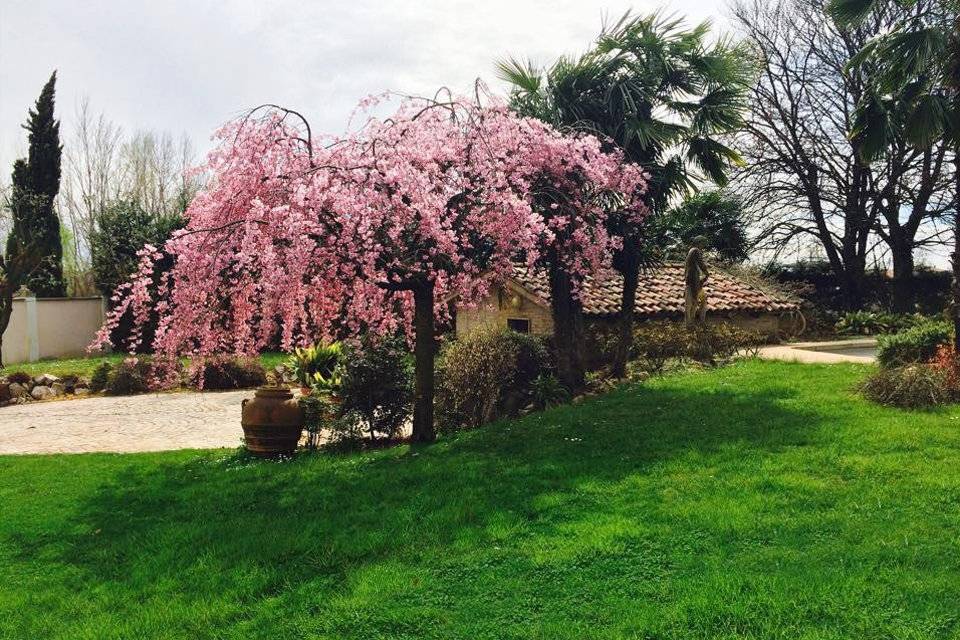 Villa Tevere di Liviana e Giorgio