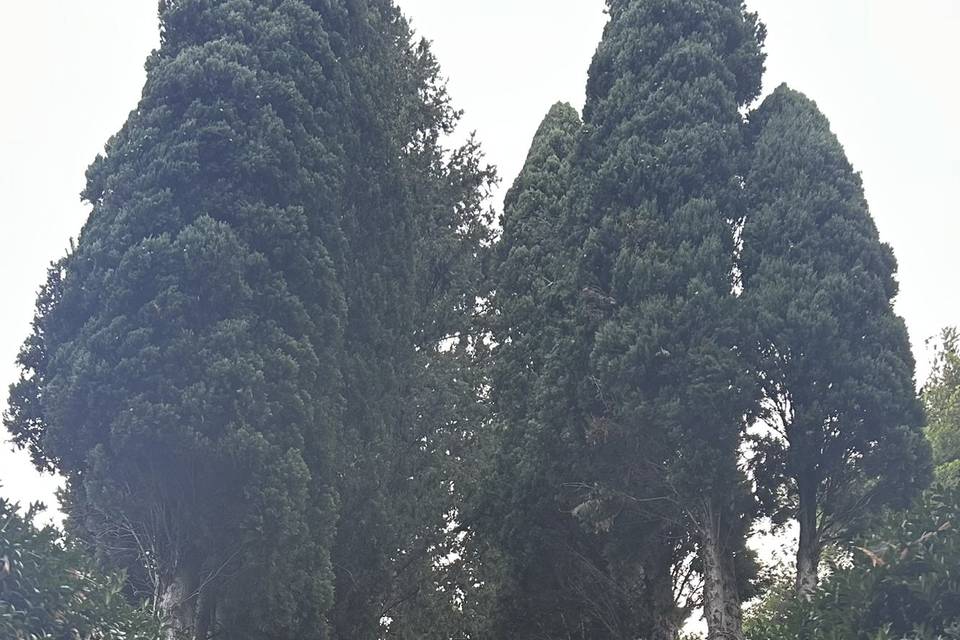 La nostra Villa, il tuo sogno.