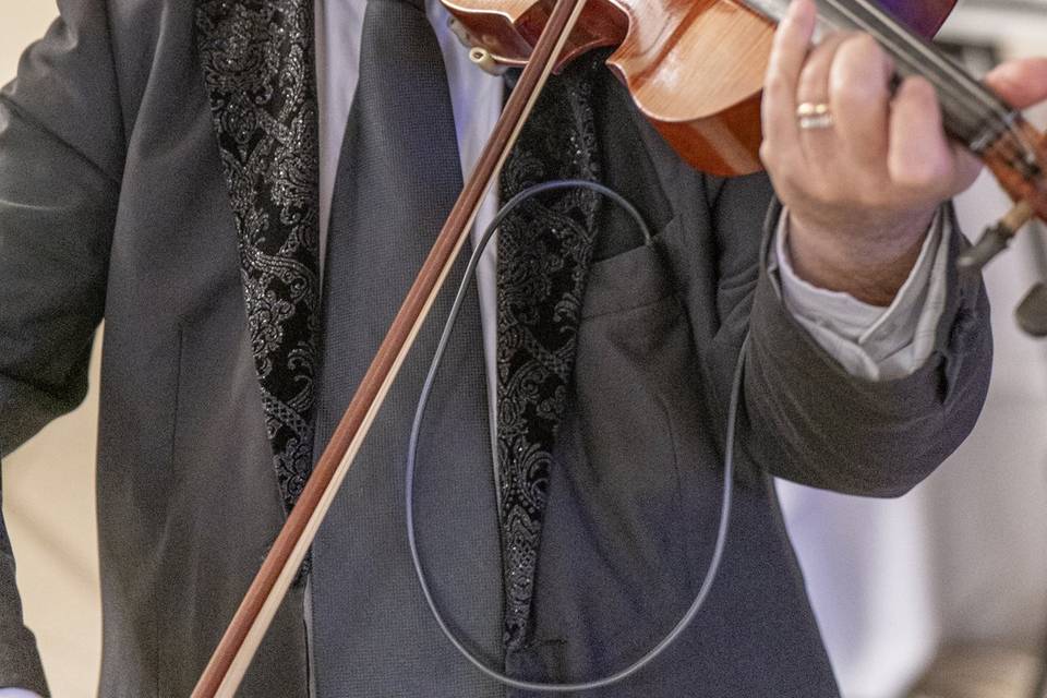 Violino wedding