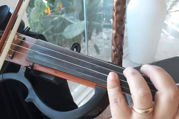 Violino