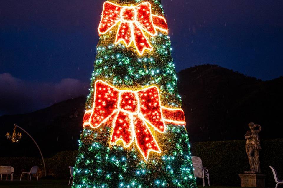 Sposi a Natale.