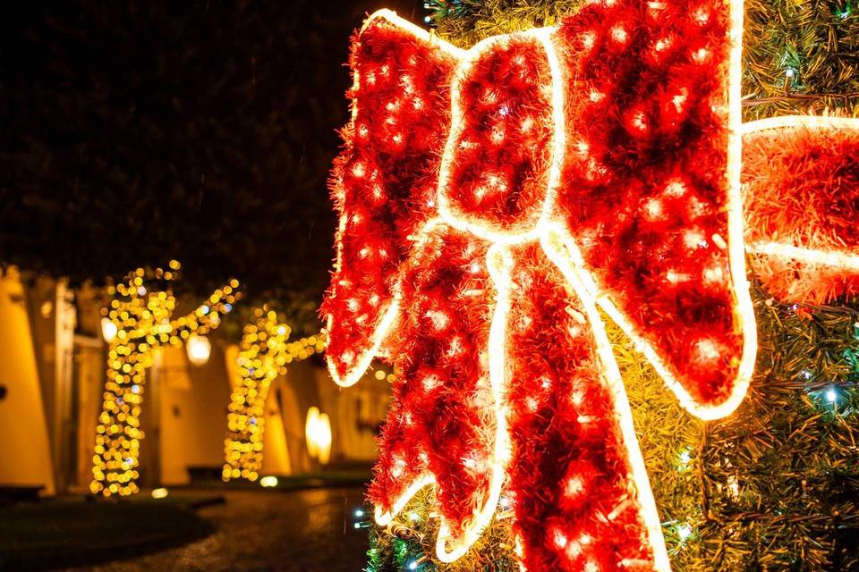 Natale in Villa.
