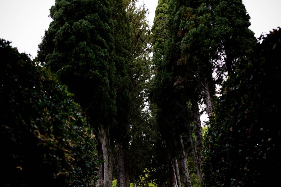 La nostra Villa, il tuo sogno.