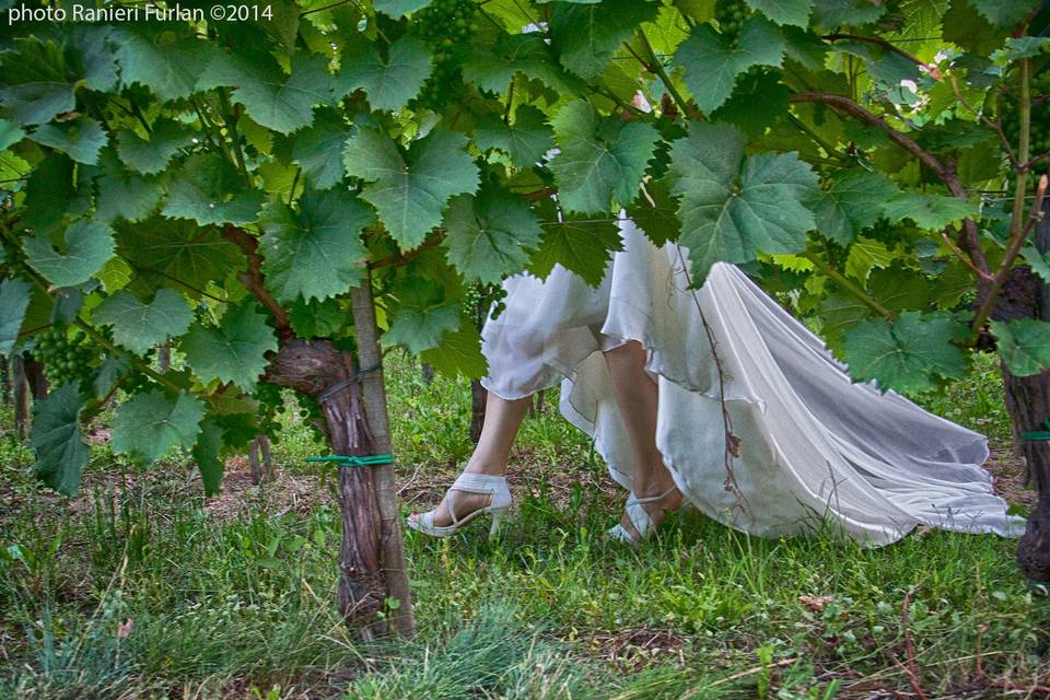 I miei Matrimoni