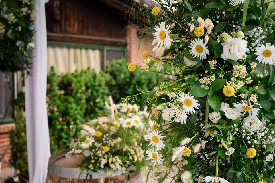 Daveli Dreams & Events