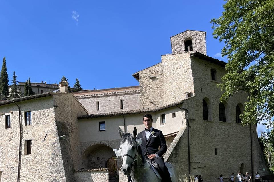 Biorio Società Agricola