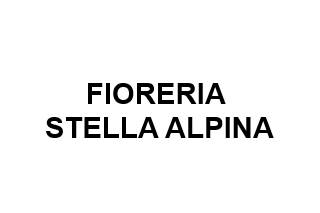 Fioreria Stella Alpina