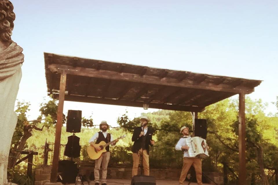 Wedding folk/swing trio