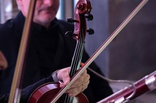 Zampella Harmonia