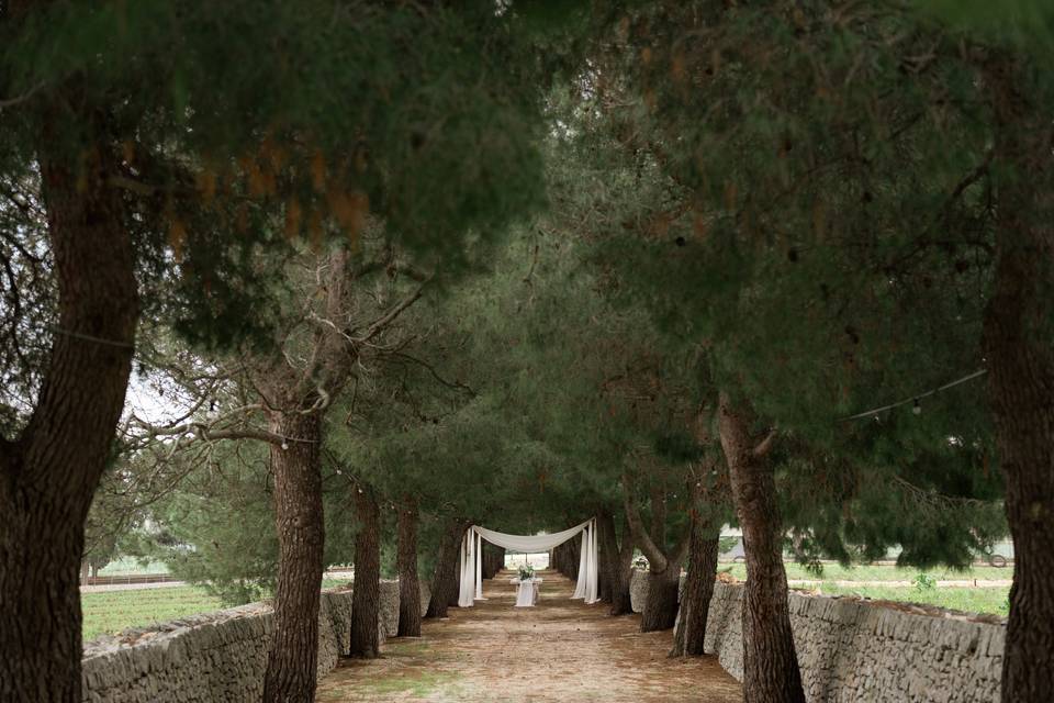 Ingresso sposi