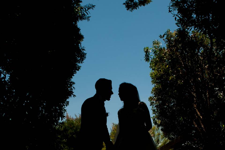 Sposi silhouette