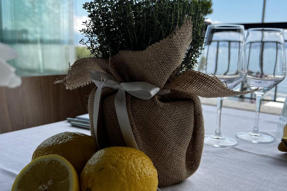 Piante aromatiche e limoni