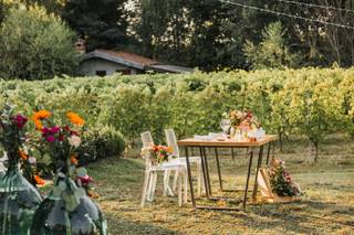 Azienda Vitivinicola Enrico Crola
