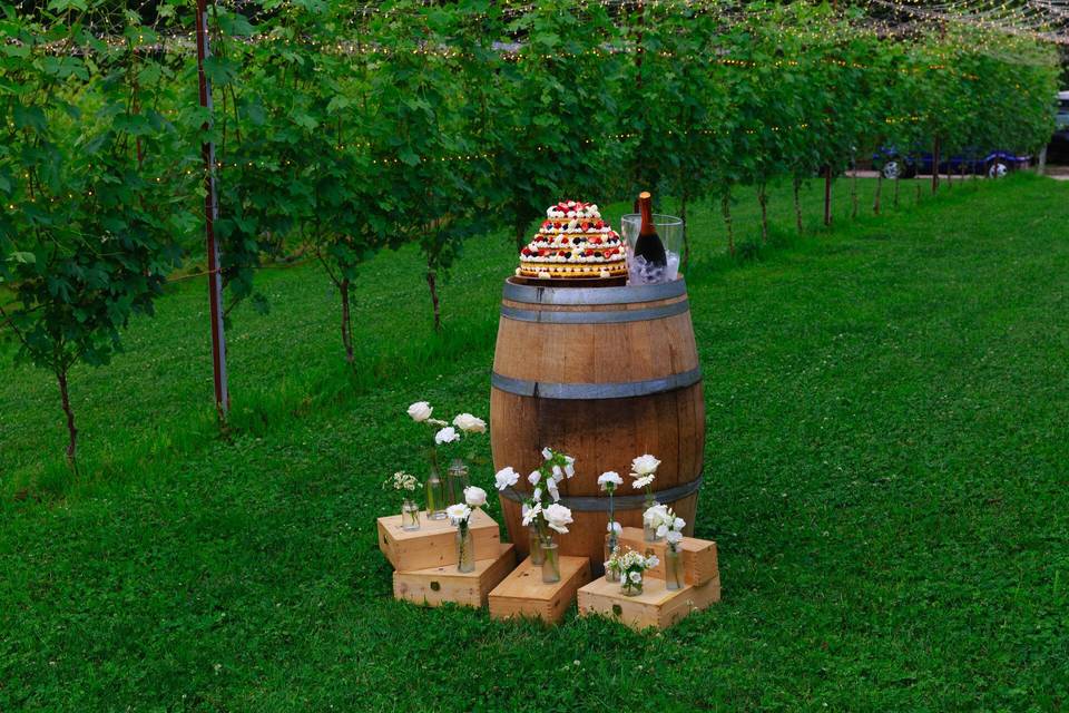 Taglio torta in vigna