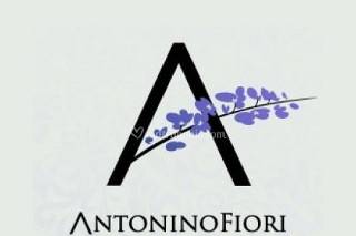 Logo Antonino Fiori