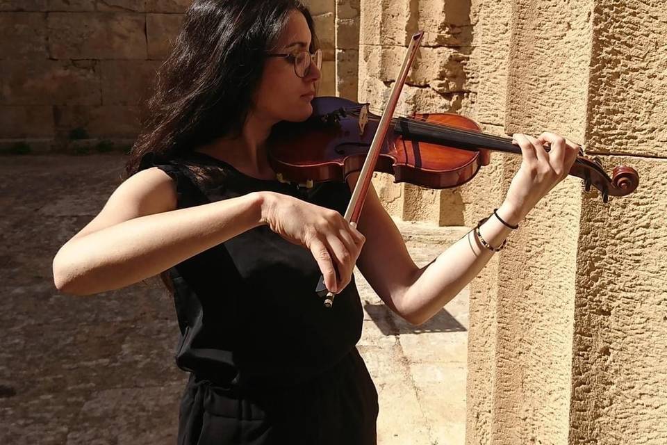 Violinista Rosa