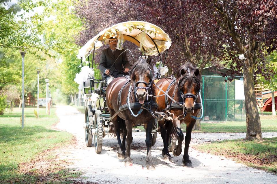 In carrozza