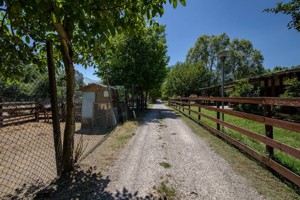 Agriturismo Tre Rondini