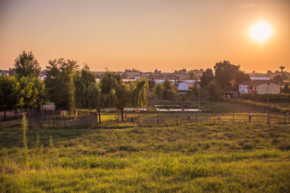 Agriturismo Tre Rondini