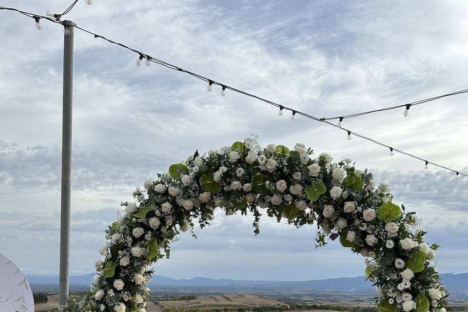 Gflora di Gilberto Pinna