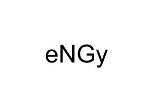 Logo_eNGy