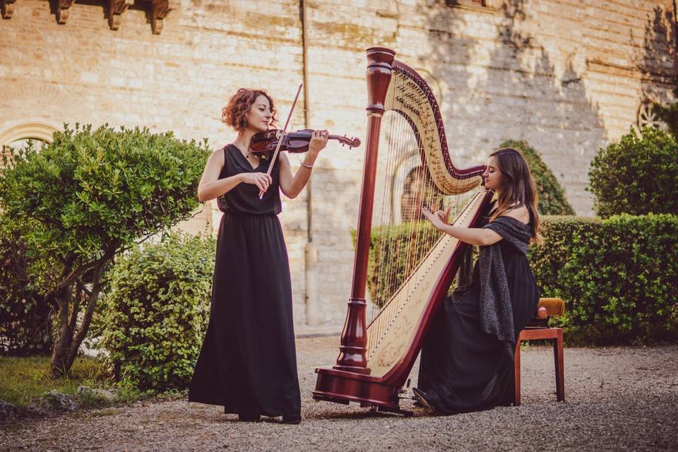 Arpa e violino