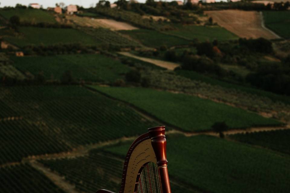 Campo di lavanda