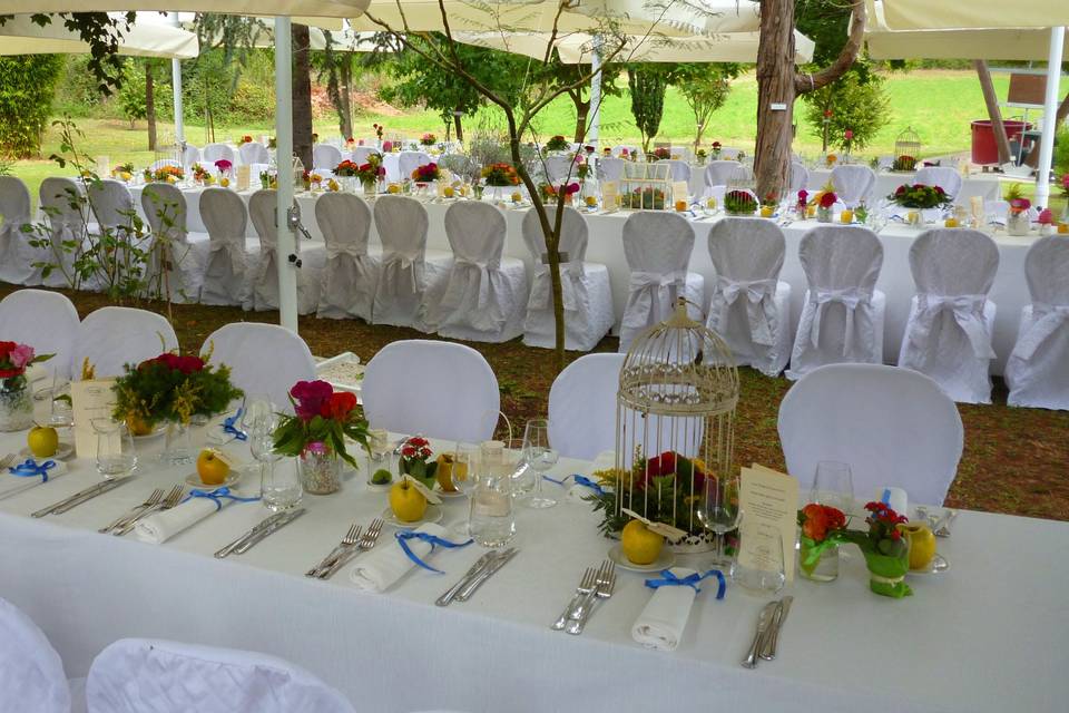 Matrimonio nel Bosco a Rieti