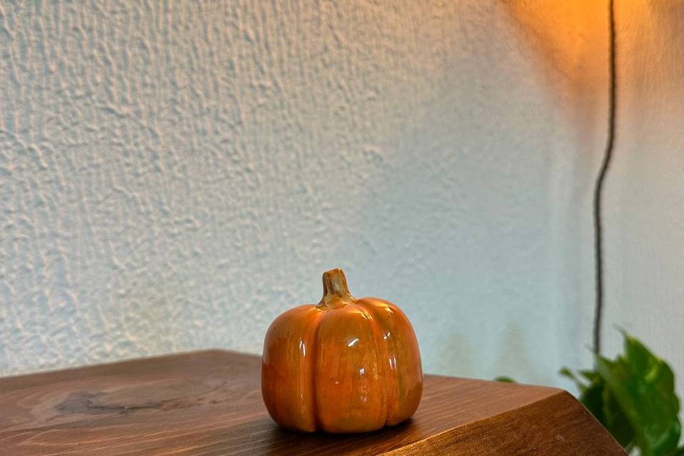 Zucchetta autunnale