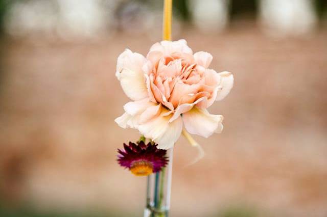 Hanging flowers