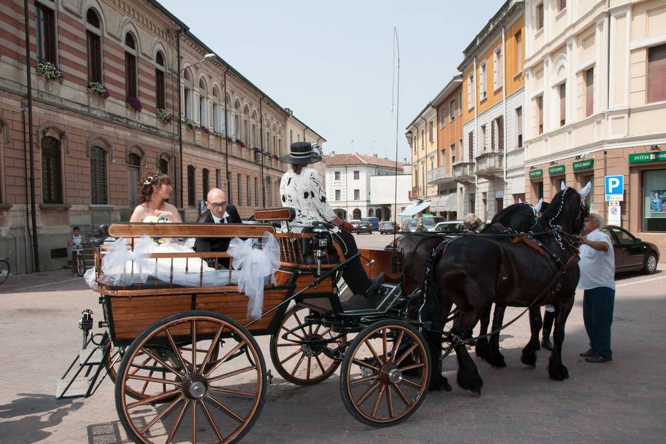 Andrea Baccalino