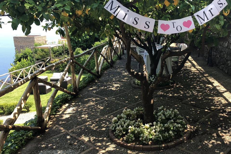 Lemon Pergola Bachelorette