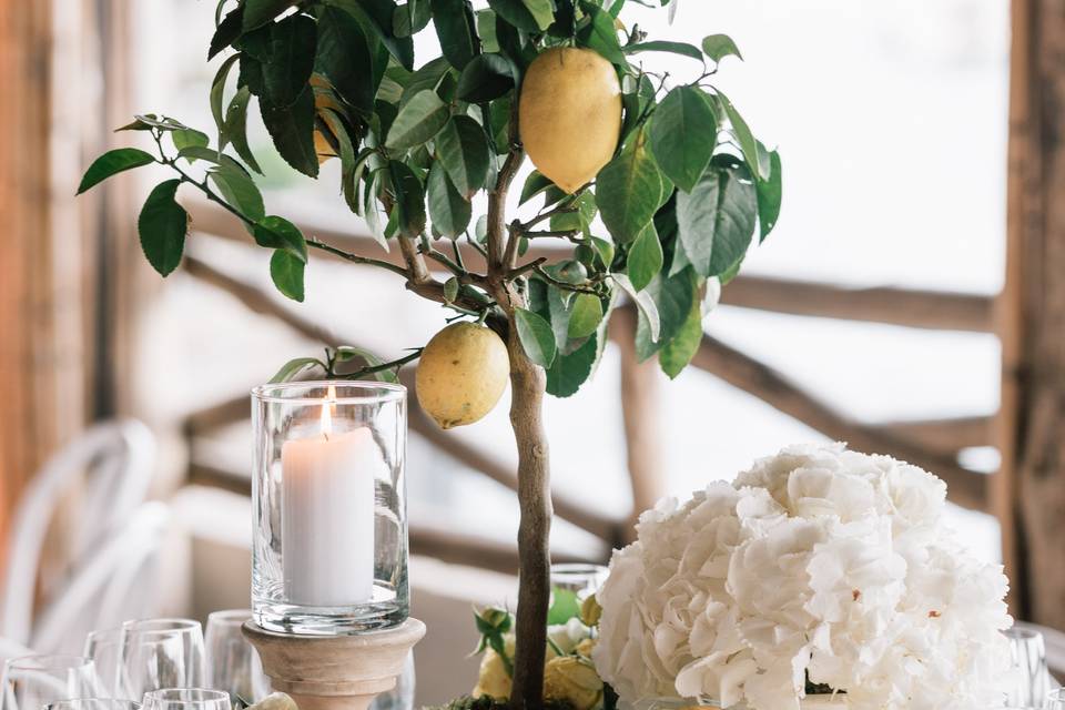 Lemon decoration